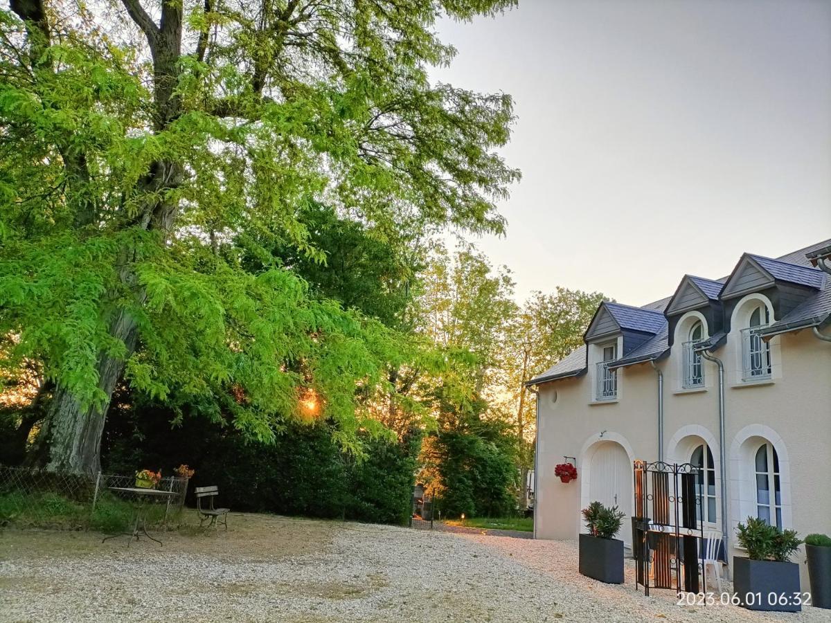 Villa Esperanza Chambre De Plain-Pied, Independante, Proche Zoo De Beauval Et Chateaux De La Loire Valençay Dış mekan fotoğraf