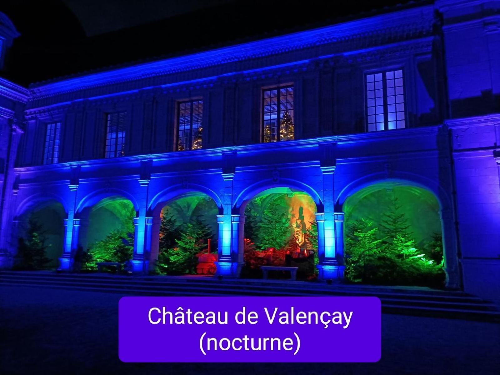 Villa Esperanza Chambre De Plain-Pied, Independante, Proche Zoo De Beauval Et Chateaux De La Loire Valençay Dış mekan fotoğraf